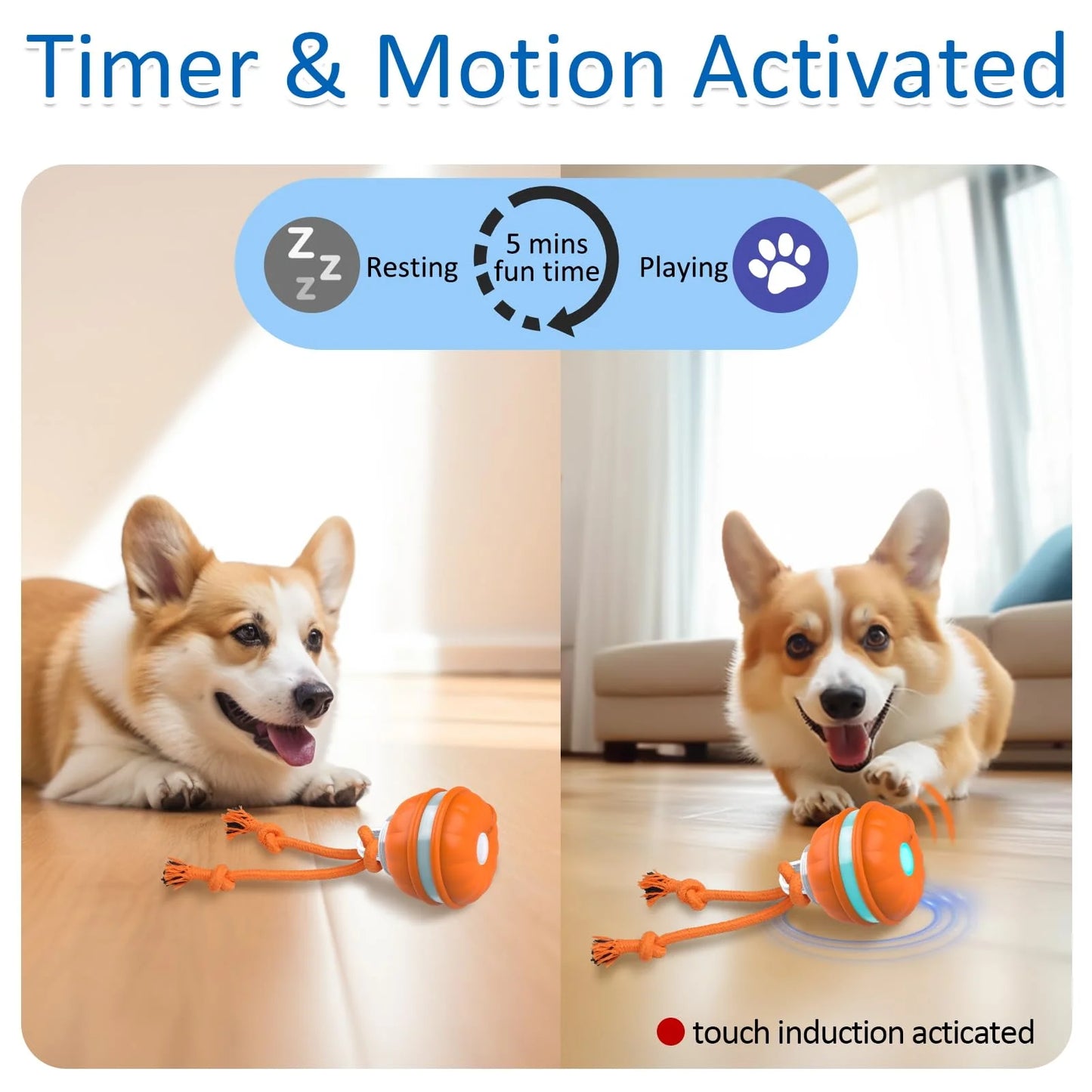 Interactive Motion-Activated Dog Ball Toy - Rechargeable Automatic Rolling Ball for Small Dogs and Puppies