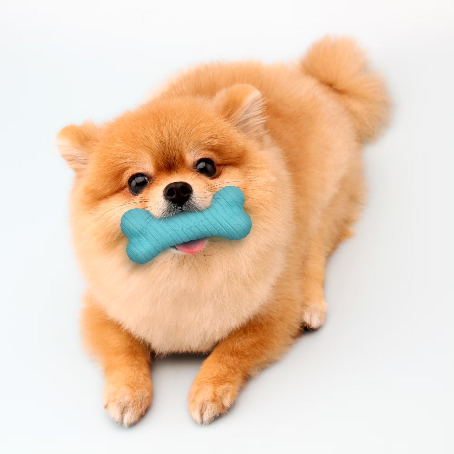 Dog Toys | Durable Chew Toy Dual Layer Bone, Peanut Butter Scented Toy - Small