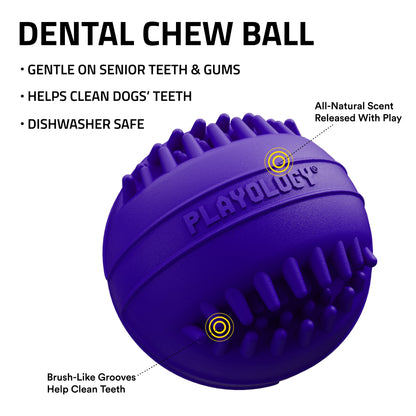 Dog Toys | Dental Chew Ball for Senior Dogs, Pork Scented Toy - Medium