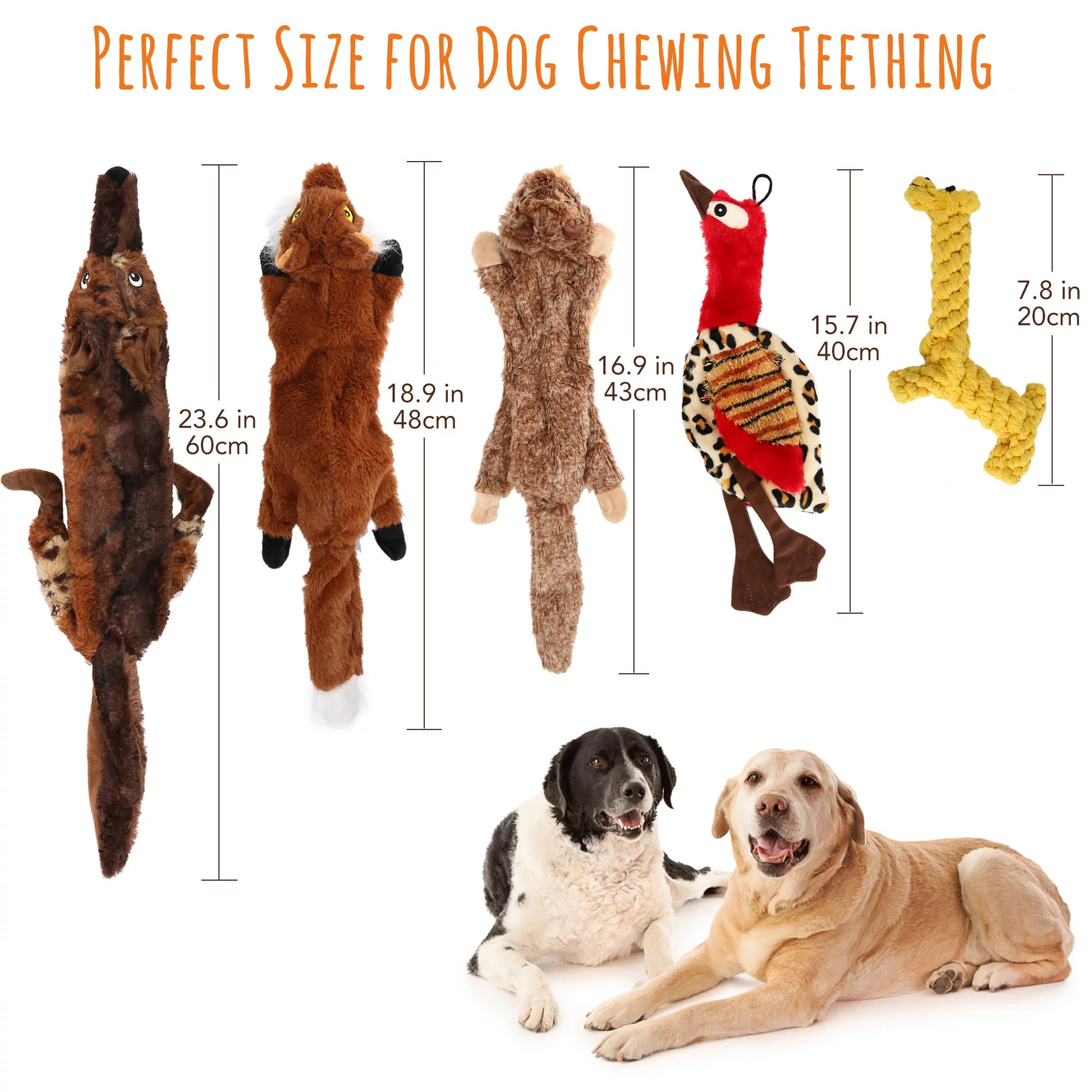 Set of 5 No-Stuffing Squeaky Toys for Small to Medium Dogs