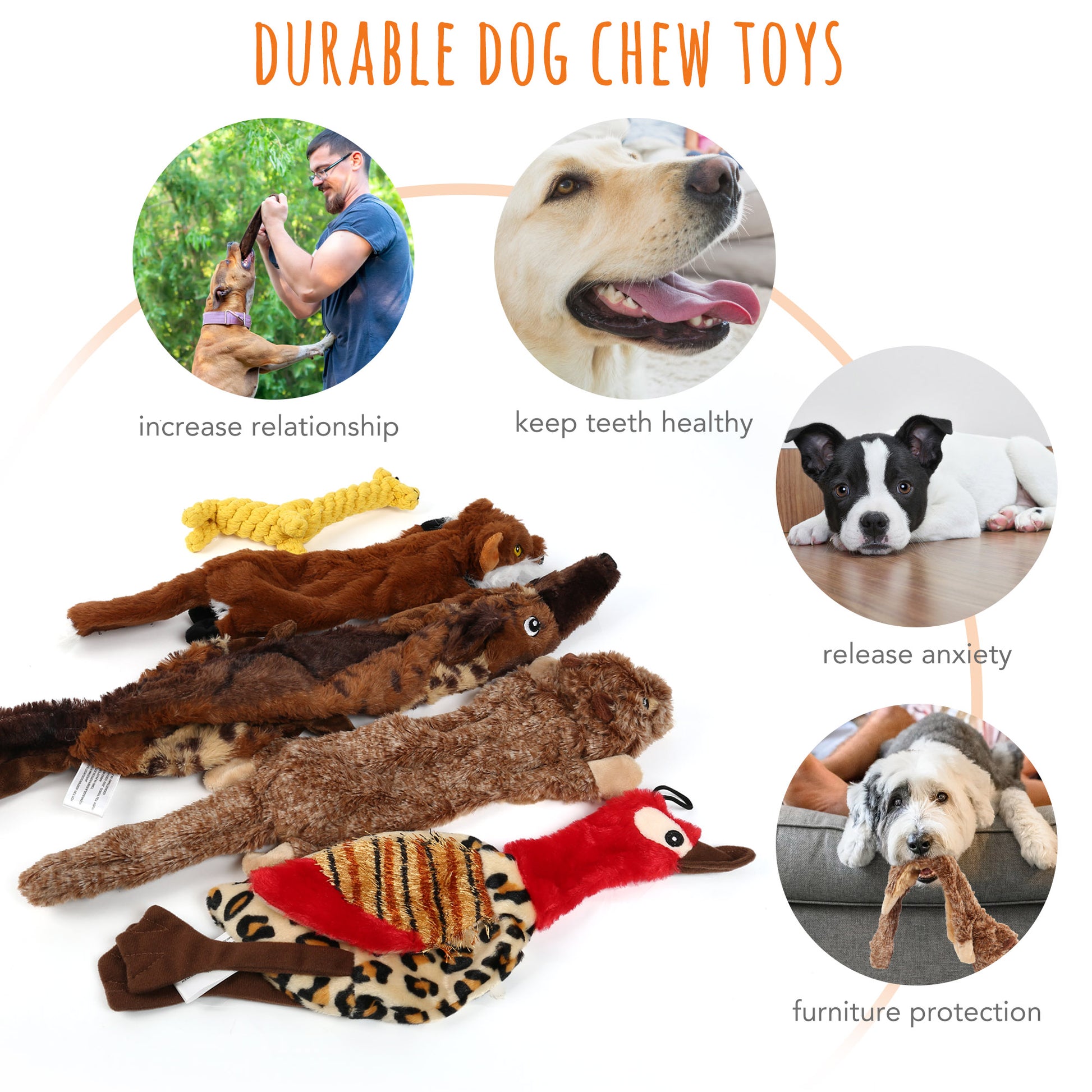 Set of 5 No-Stuffing Squeaky Toys for Small to Medium Dogs