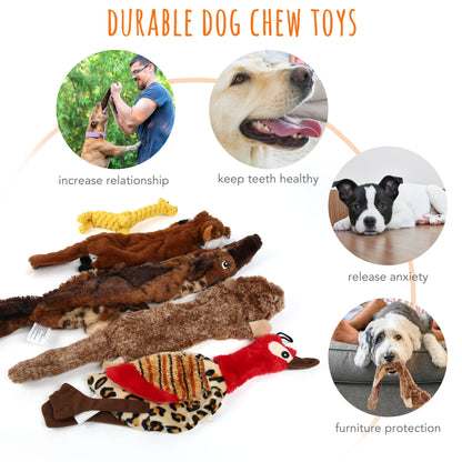 Set of 5 No-Stuffing Squeaky Toys for Small to Medium Dogs