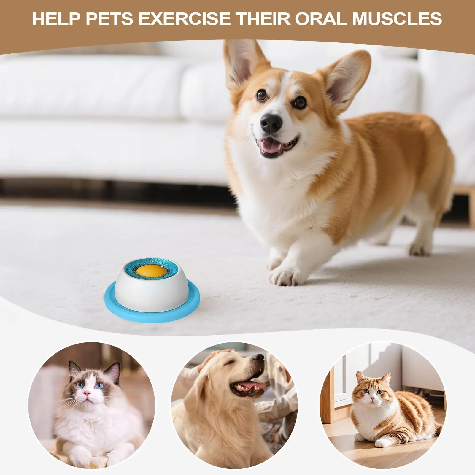 Lick Toys for Dogs Slow Feeder Food Dispenser for Puppy Interactive Dog Toys Dog Training Enrichment Cat Feeding Crate Accessory