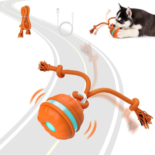 Interactive Motion-Activated Dog Ball Toy - Rechargeable Automatic Rolling Ball for Small Dogs and Puppies