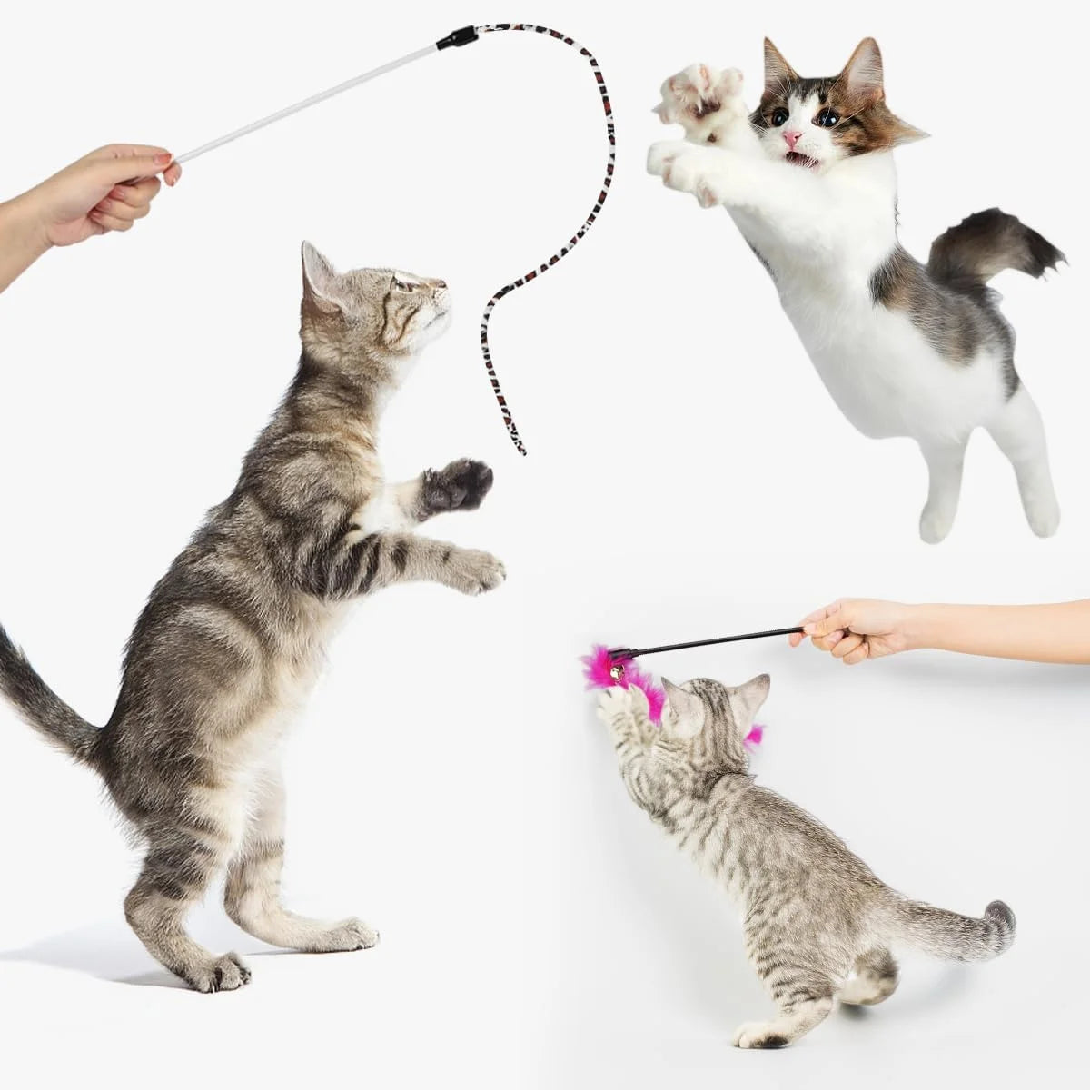 32-Piece Interactive Cat Toy Set with Collapsible Rainbow Tunnel, Feather Teasers, Crinkle Balls, and Spring Toys for Cats and Kittens