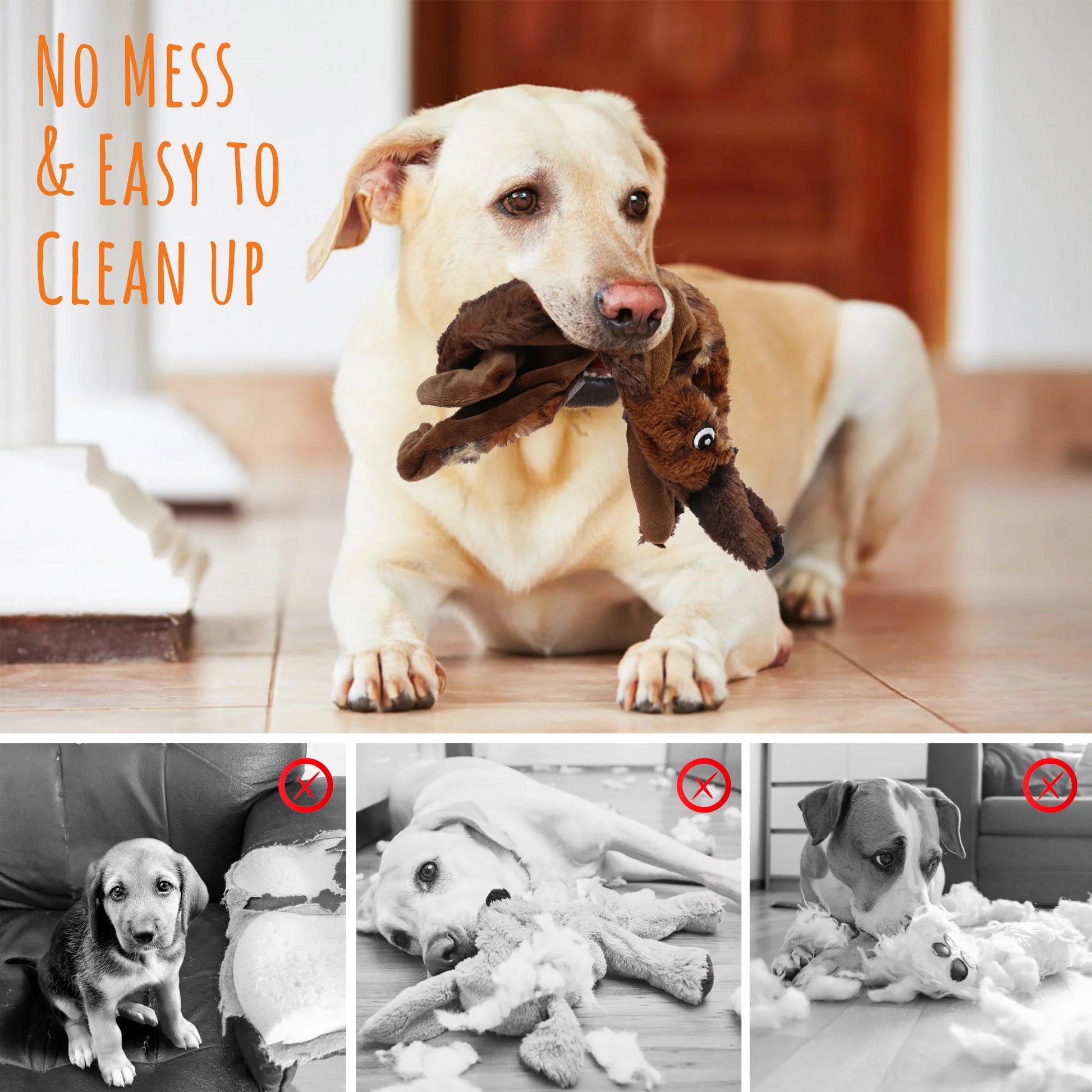 Set of 5 No-Stuffing Squeaky Toys for Small to Medium Dogs