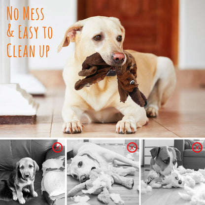 Set of 5 No-Stuffing Squeaky Toys for Small to Medium Dogs