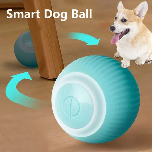 Automatic Rolling Electric Dog Ball Toy for Interactive Indoor Training and Play