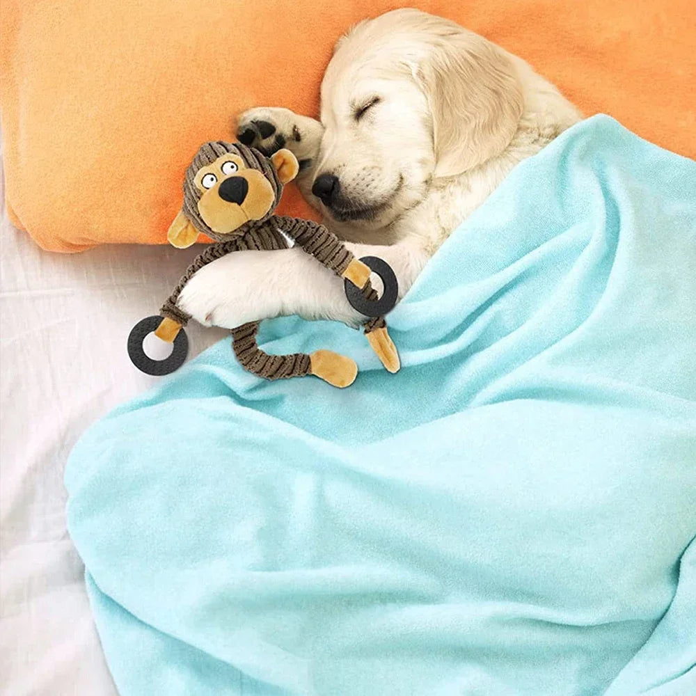 Squeaky Puppy Toys Plush Puppy Chew Toys for Teething Training Dog Toys for Small Dogs Toy for Cute Monkey Interactive Dog Toy