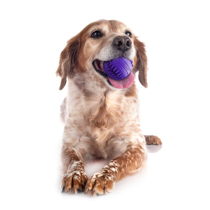 Dog Toys | Dental Chew Ball for Senior Dogs, Pork Scented Toy - Medium