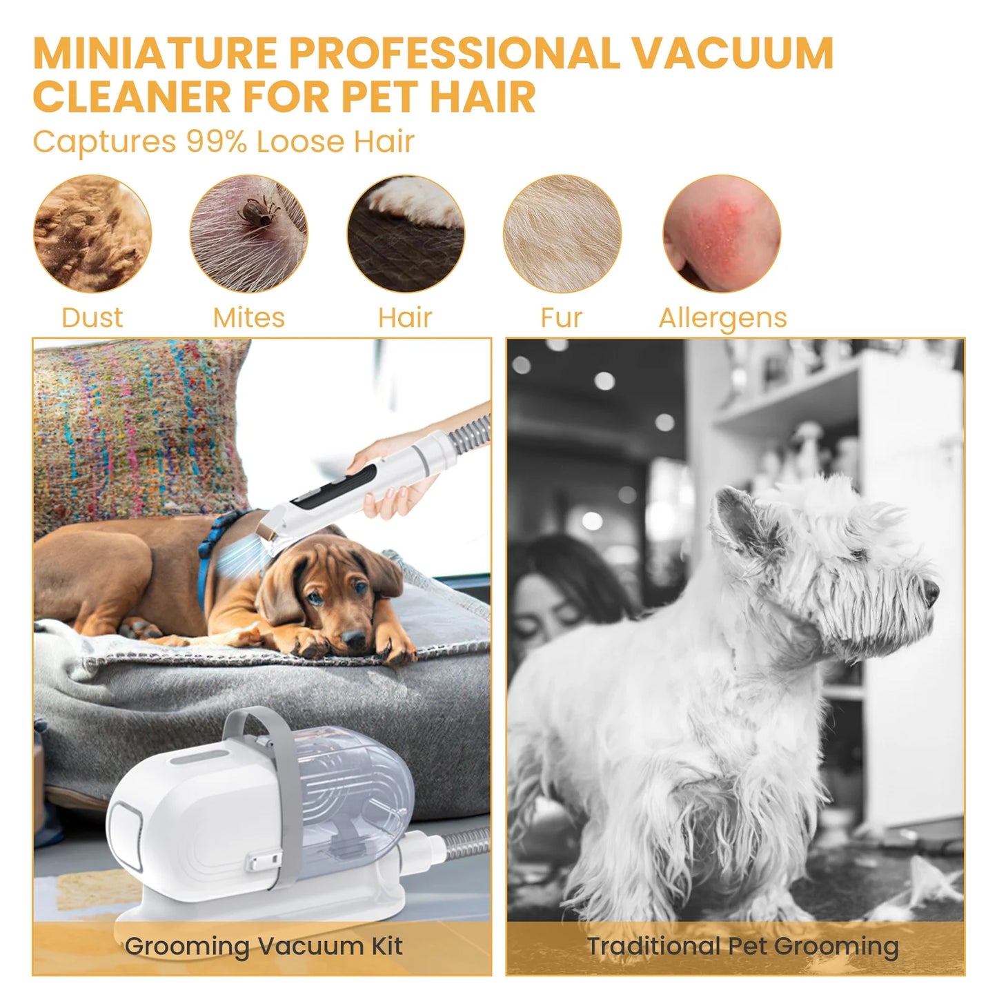 Pet Grooming Vacuum for Dogs & Cats, 13000Pa Suction, 5-In-1 Grooming Kit with Low Noise, 2.5L Dust Cup, Wireless Clippers, Deshedding Brush – Professional At-Home Pet Hair Cleaner