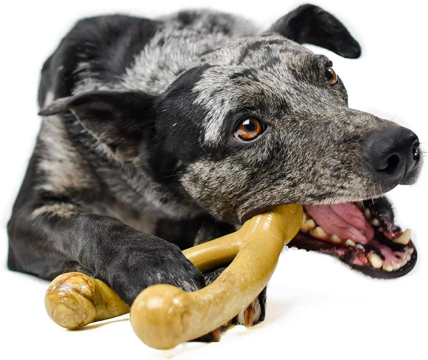 Wishbone Barkbone Nylon Chew Toy for Aggressive Chewers - Peanut Butter Flavor - 6.75 Inches