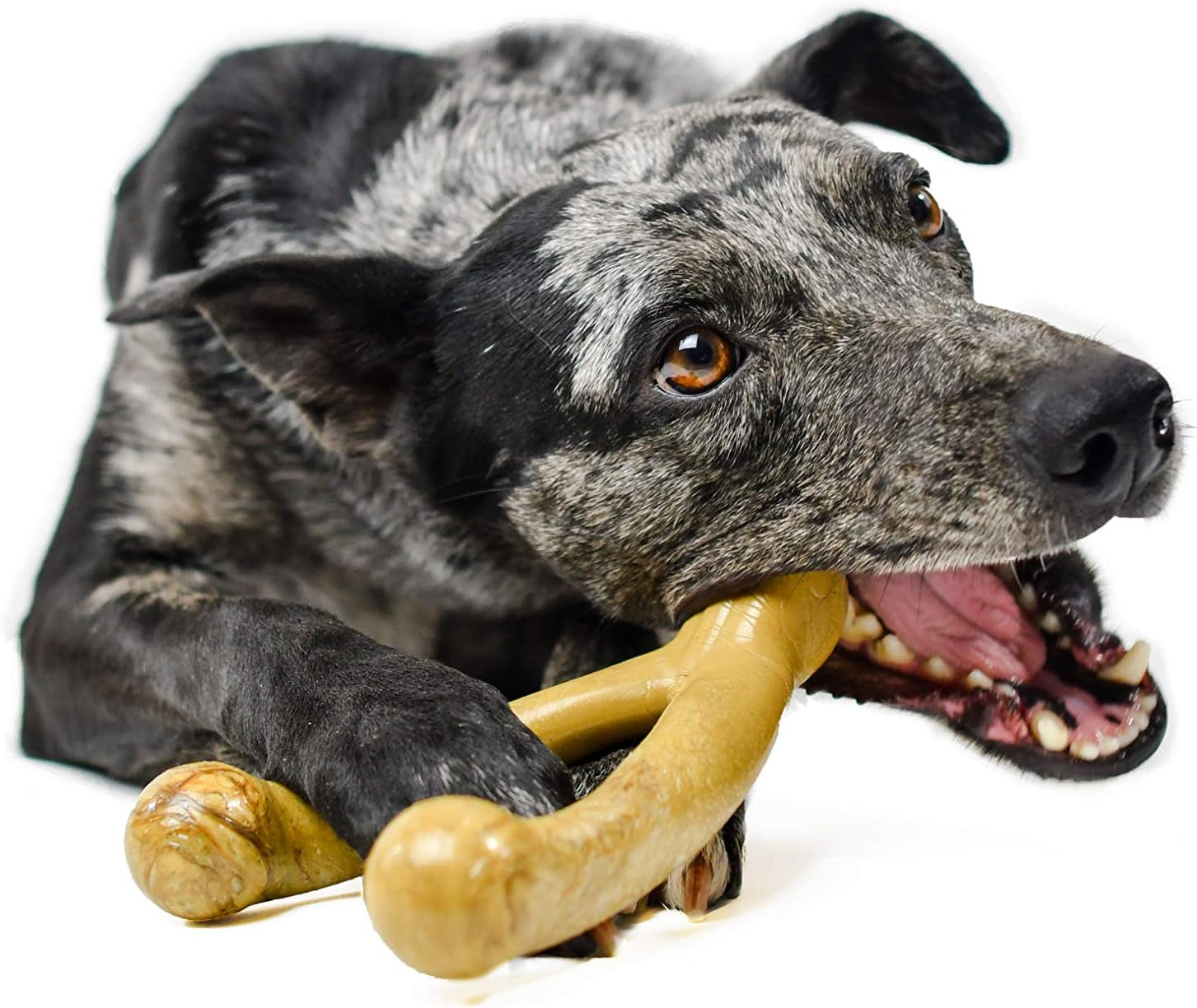 Wishbone Barkbone Nylon Chew Toy for Aggressive Chewers - Peanut Butter Flavor - 6.75 Inches